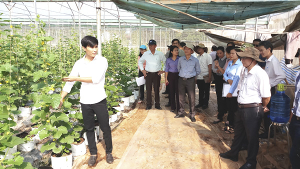 Đoàn nghiên cứu tham quan vườn rau ứng dụng CNC của Công ty Rau củ quả Vương Huy