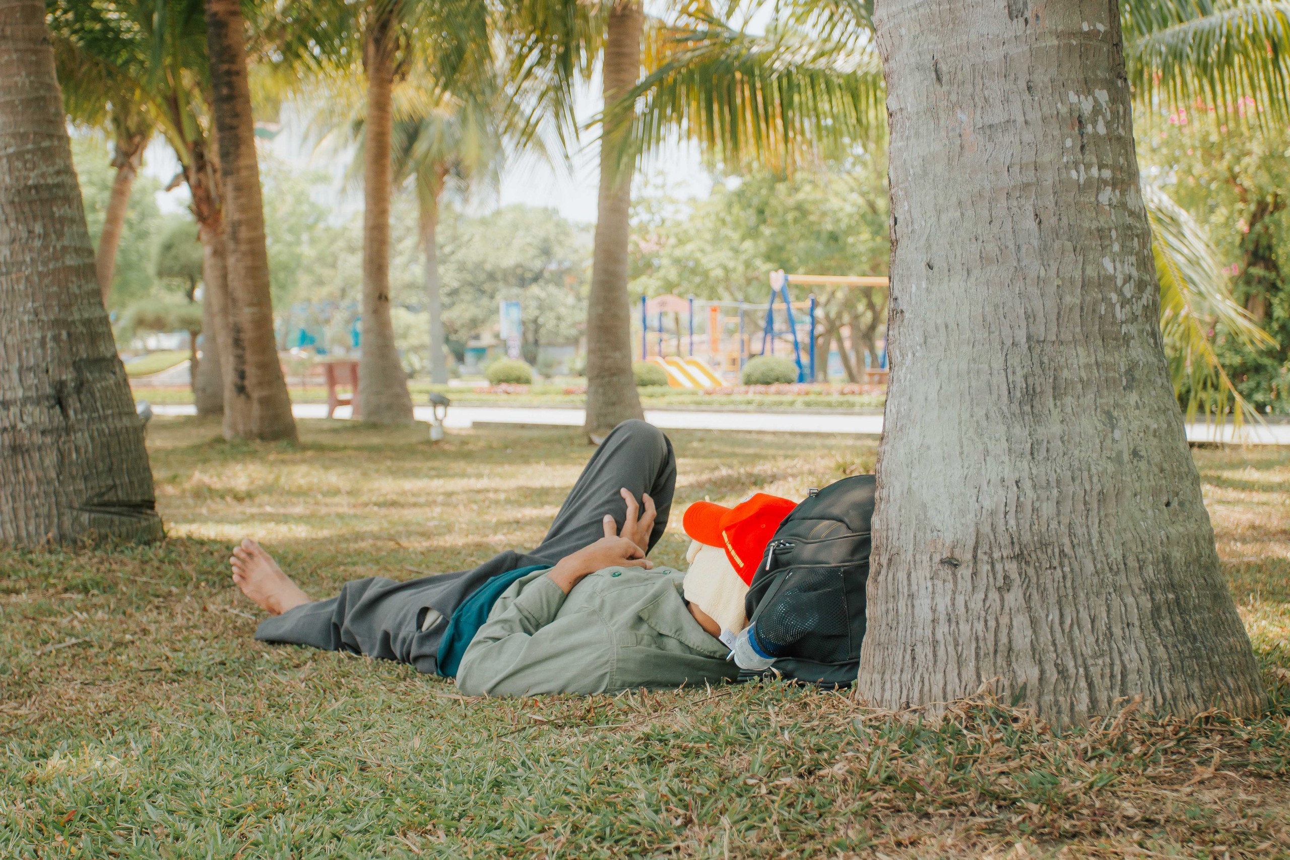 Một người tranh thủ tựa lưng dưới gốc cây, nghỉ ngơi sau buổi sáng làm việc vất vả dưới trời nắng nóng