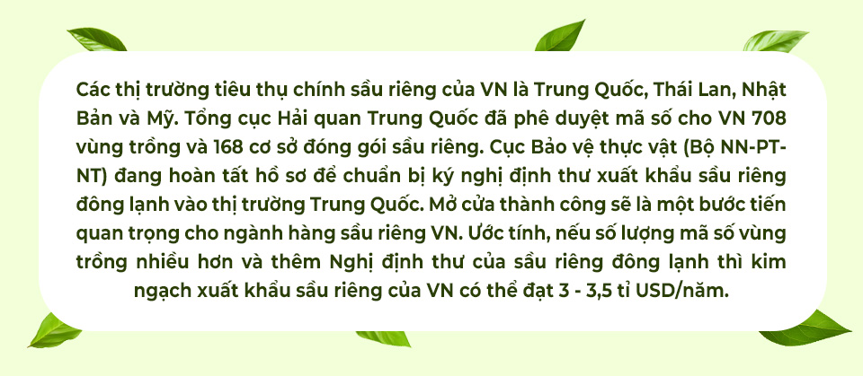 Sầu riêng Việt Nam bất ngờ "soán ngôi" Thái Lan- Ảnh 16.