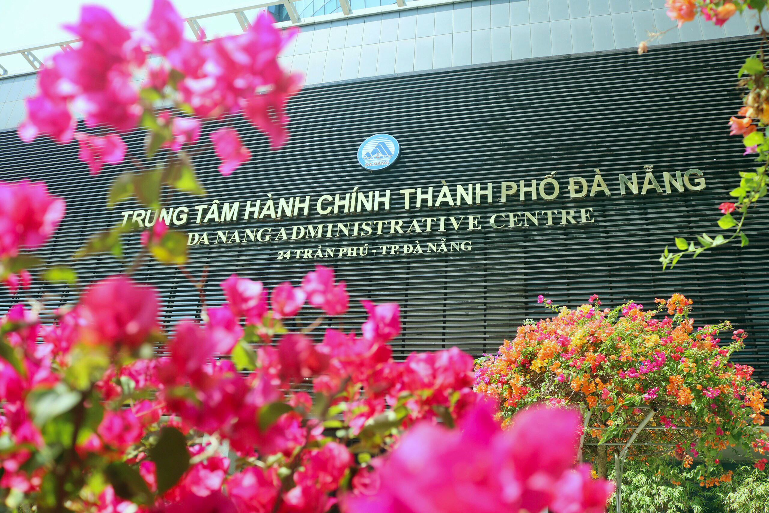 Công ty Công viên – Cây xanh đặt 40 chậu hoa giấy đủ màu xung quanh Trung tâm hành chính TP.Đà Nẵng