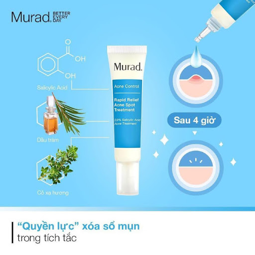 Thành phần gel trị mụn Murad Rapid Relief Acne Spot Treatment