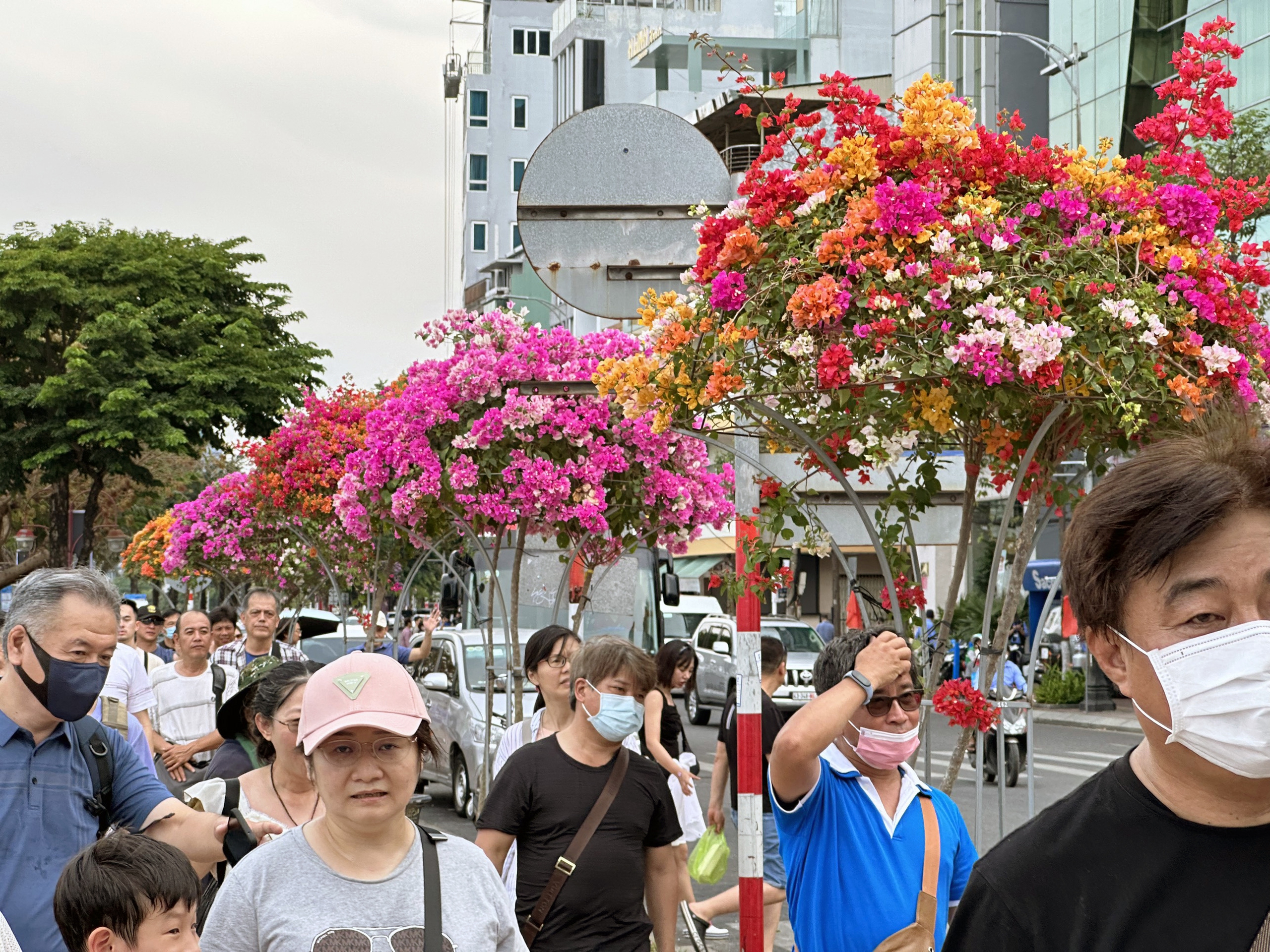 Quy hoạch cây ra hoa và trang trí hoa dọc sông Hàn tạo không gian sống đẹp hơn, góp phần làm cho TP.Đà Nẵng điểm đến văn hóa và du lịch thi vị