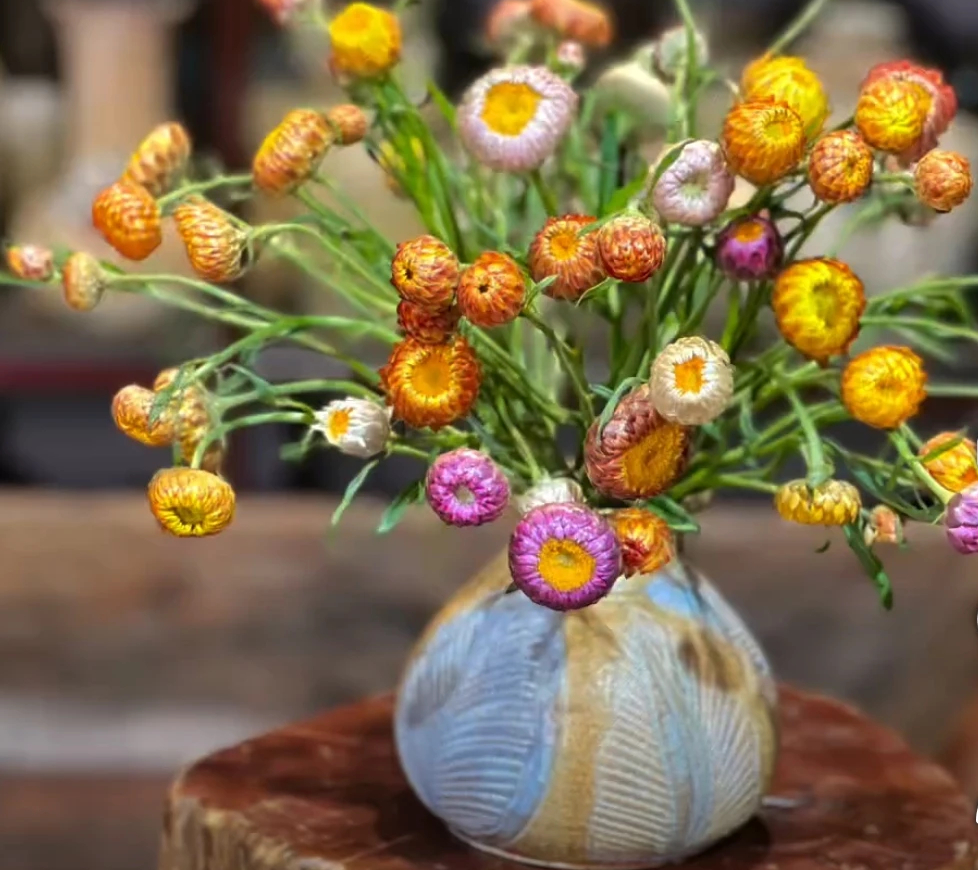 Nhiều người tìm mua hoa bất tử về trang trí