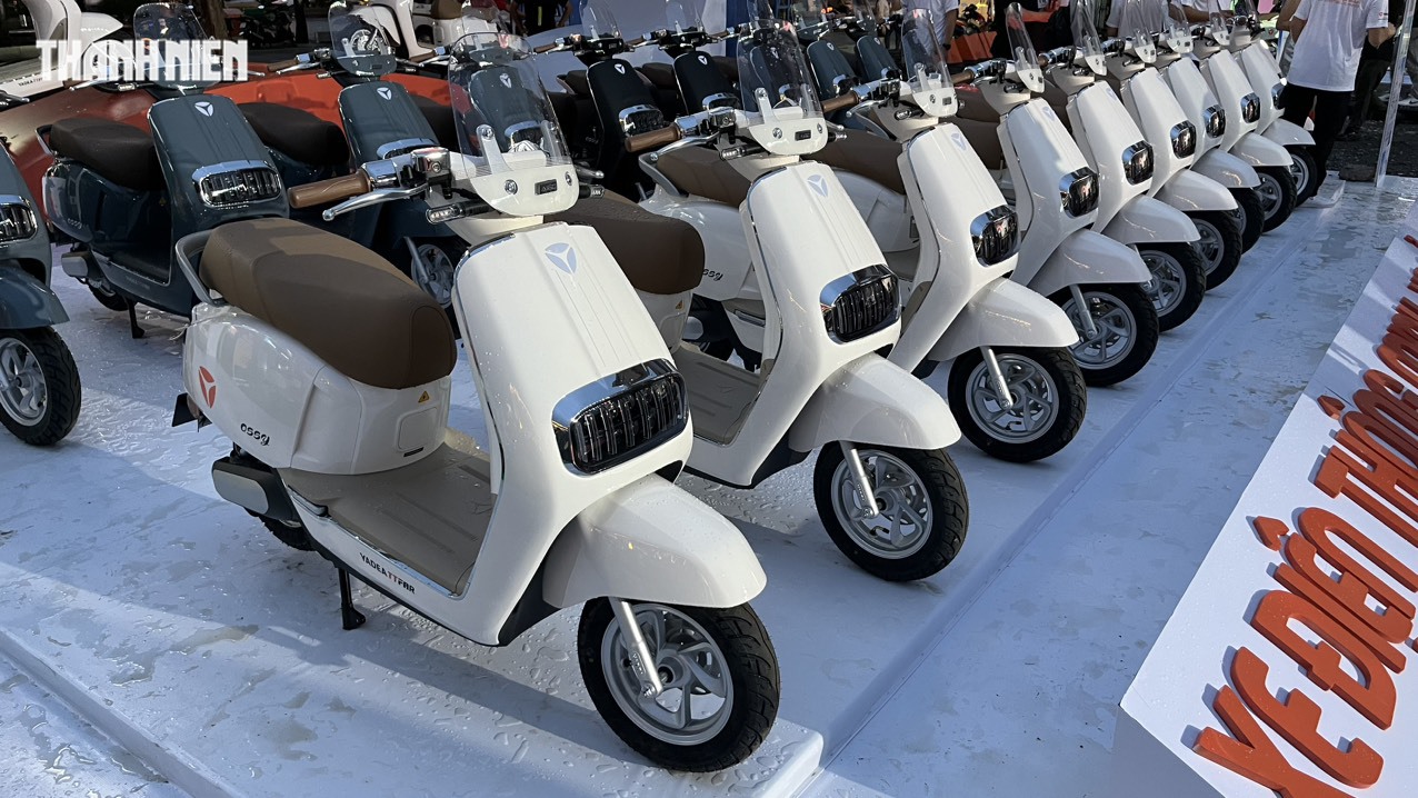 5 thị trường xe m&aacute;y điện lớn nhất thế giới, Việt Nam g&oacute;p mặt - Ảnh 2.