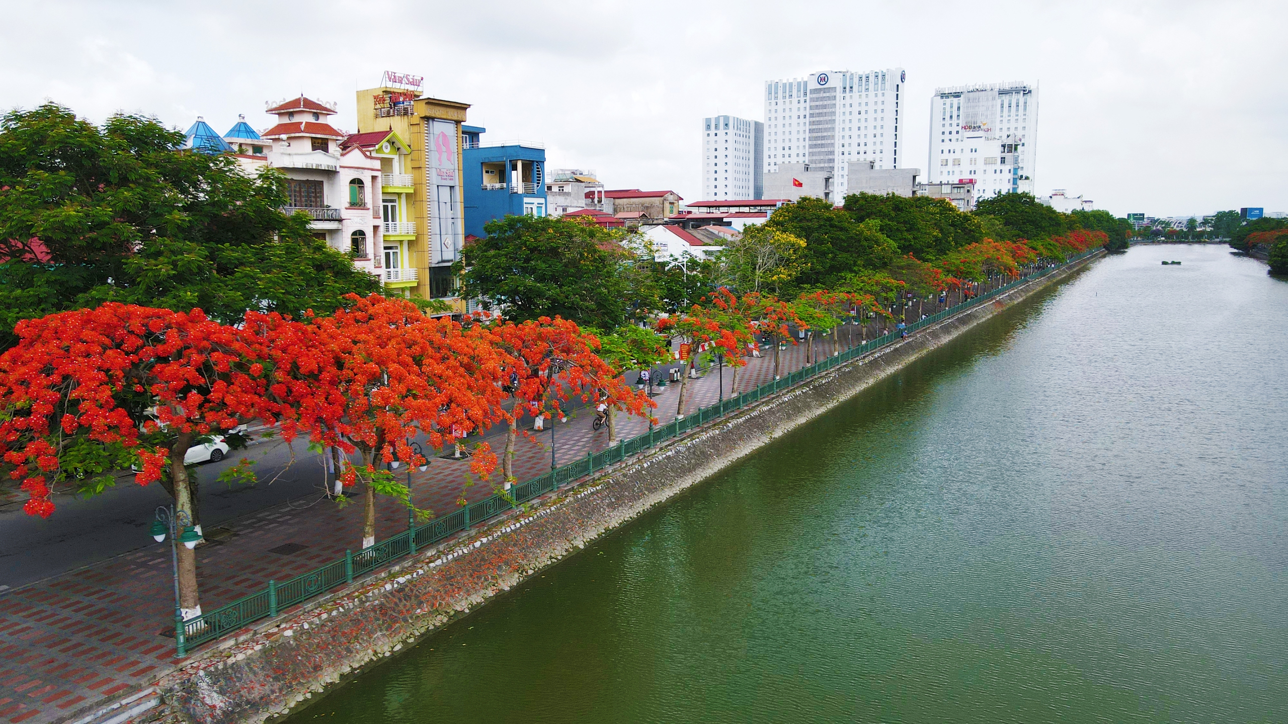 Hồ Tam Bạc nằm giữa trung tâm TP.Hải Phòng trở lên thơ mộng hơn khi các hàng phượng vĩ quanh hồ đua nhau nở