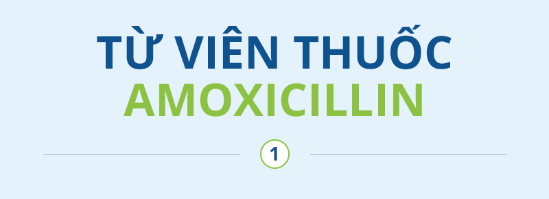 Từ viên thuốc Amoxillin đến chuỗi nhà máy EU GMP- Ảnh 1.