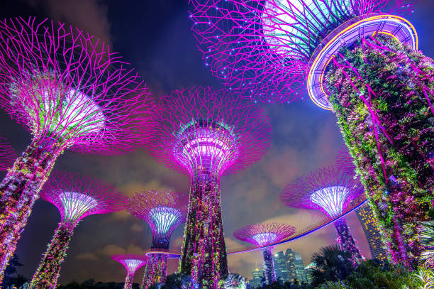 Những khu vườn đẹp tại Singapore du khách không nên bỏ lỡ- Ảnh 1.