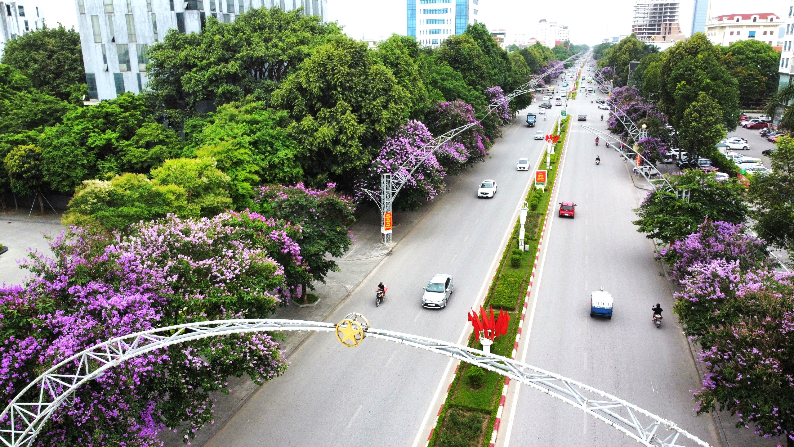 Đại lộ Lê Lợi - trục đường chính ở TP.Thanh Hóa nhiều năm qua nổi tiếng với hàng hoa bằng lăng tím ngắt mỗi khi hè đến