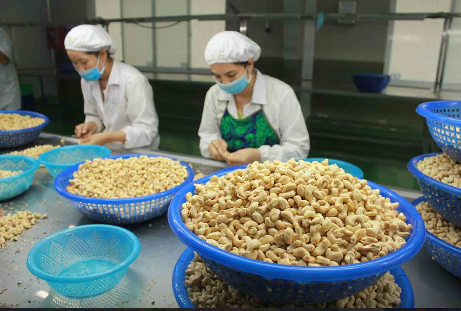 Nông sản lại lo phá giá lẫn nhau- Ảnh 4. Nông sản lại lo phá giá lẫn nhau- Ảnh 4.