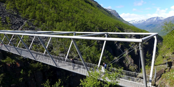 Những cầu cây 'độc lạ' tại Na Uy khiến du khách trầm trồ- Ảnh 3.