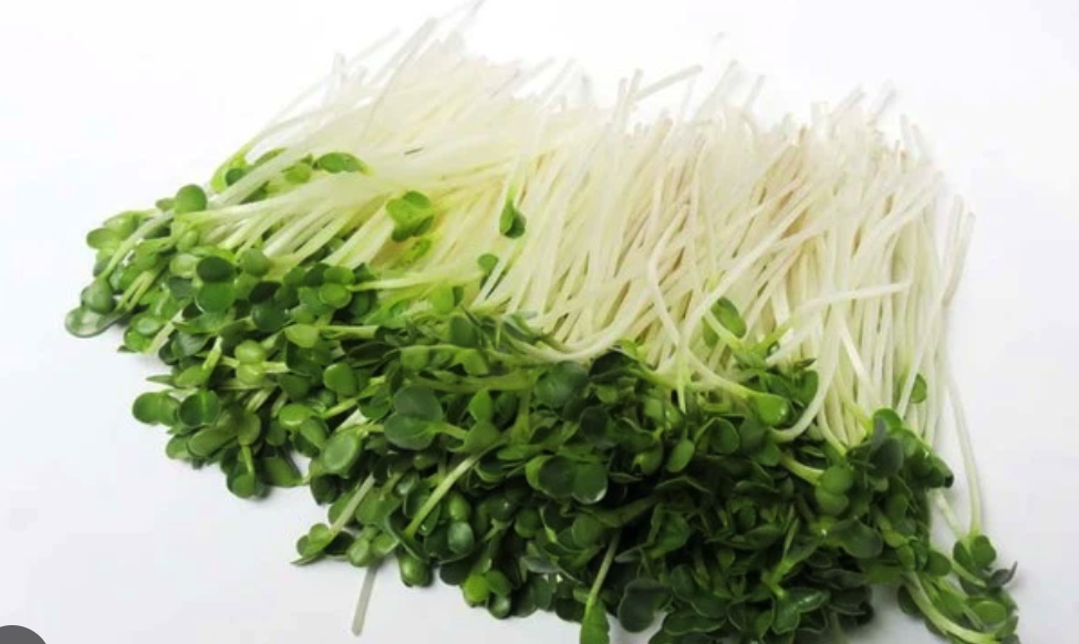 Bác sĩ: 6 loại rau giàu vitamin, tốt cho tim mạch, phòng ngừa ung thư- Ảnh 1. Bác sĩ: 6 loại rau giàu vitamin, tốt cho tim mạch, phòng ngừa ung thư- Ảnh 1.