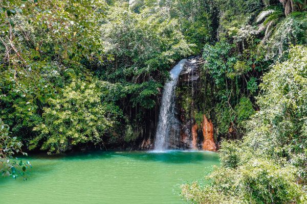 Tham quan công viên, vườn quốc gia ấn tượng của đất nước Đông Nam Á Brunei- Ảnh 1.