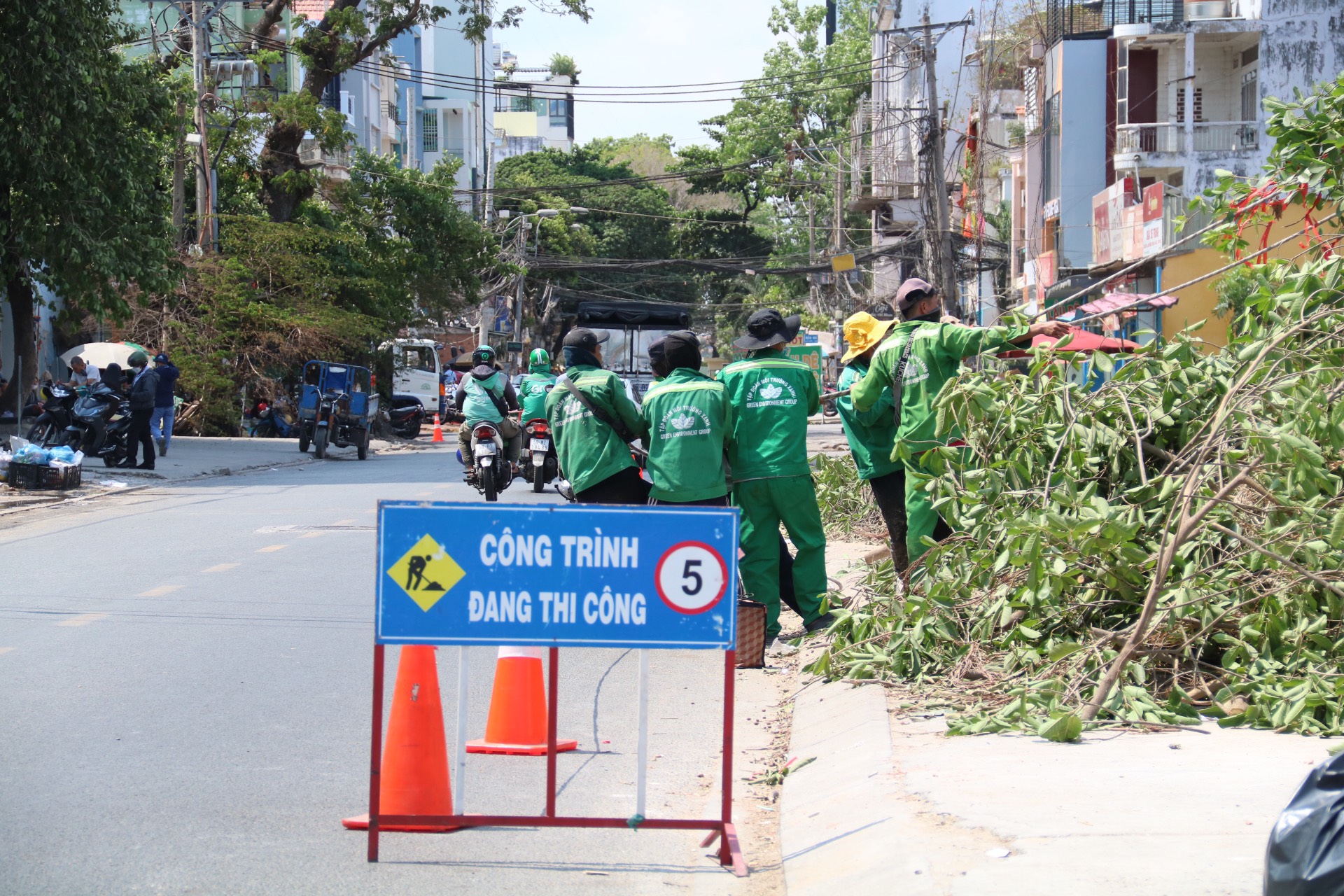 Đơn vị thi công thực hiện đốn hạ cây xanh trên đường Hoàng Hoa Thám