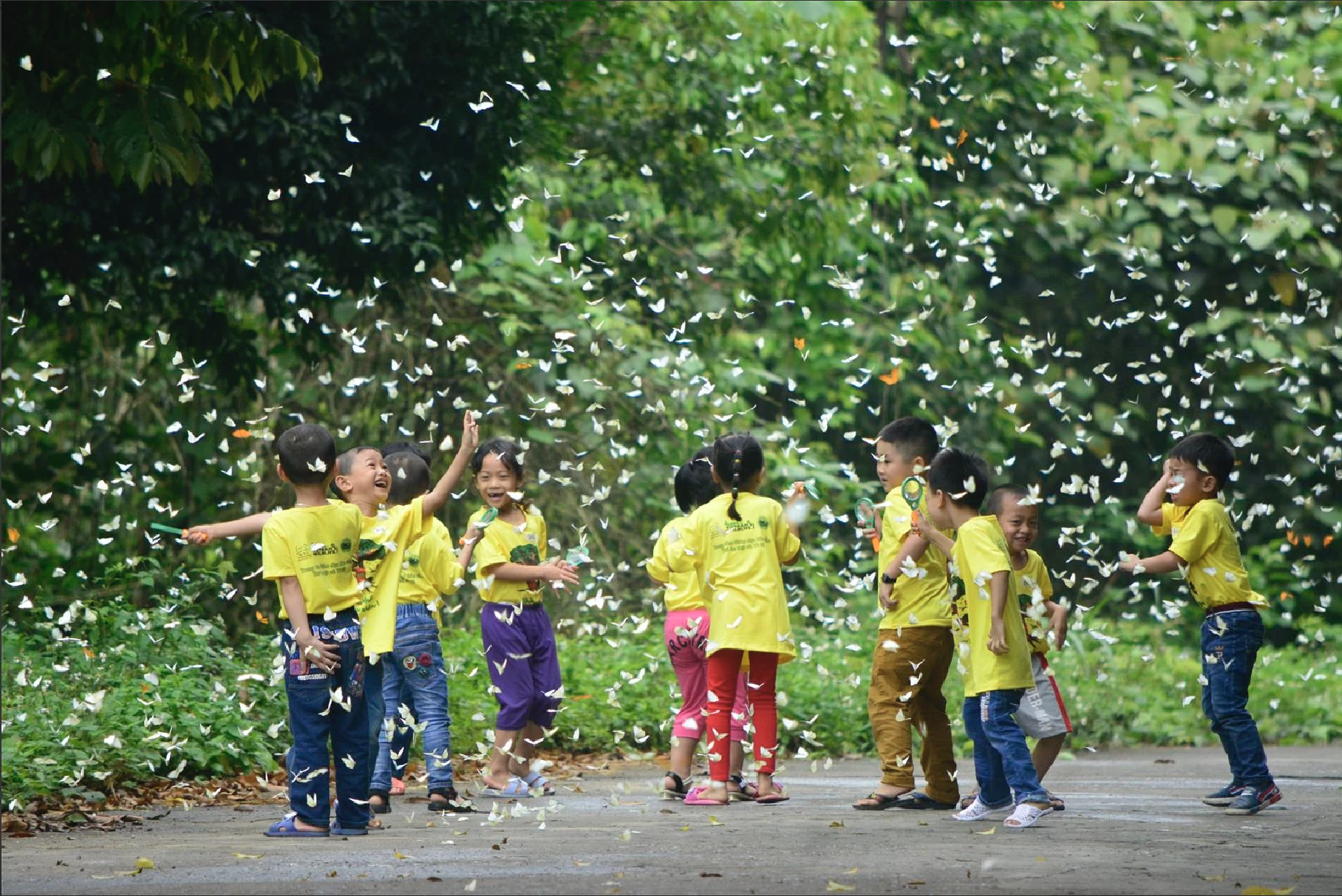 VQG Cúc Phương ôm chứa hệ giá trị đa dạng sinh học vô cùng quý giá, là một trong những nơi có tính đa dạng sinh học cao của Việt Nam