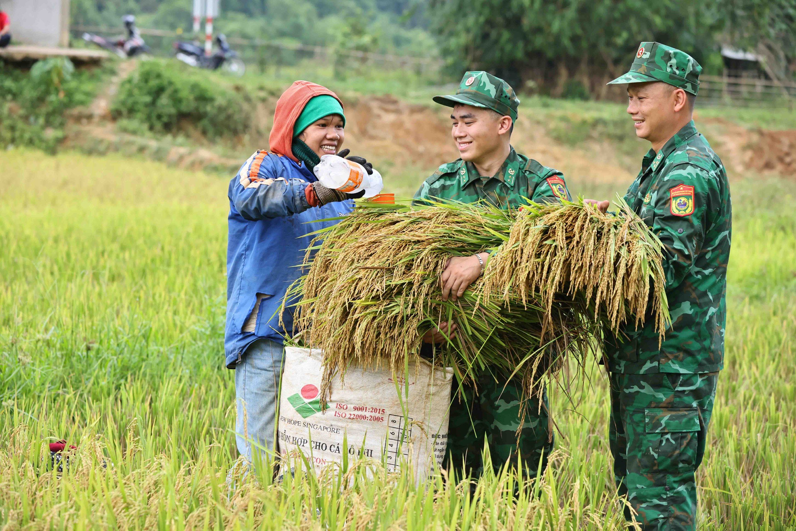 Mặc dù thời tiết nắng gay gắt nhưng cán bộ, chiến sĩ rất tích cực, hỗ trợ người dân thu hoạch lúa để kịp phơi khô trước khi mùa mưa tới