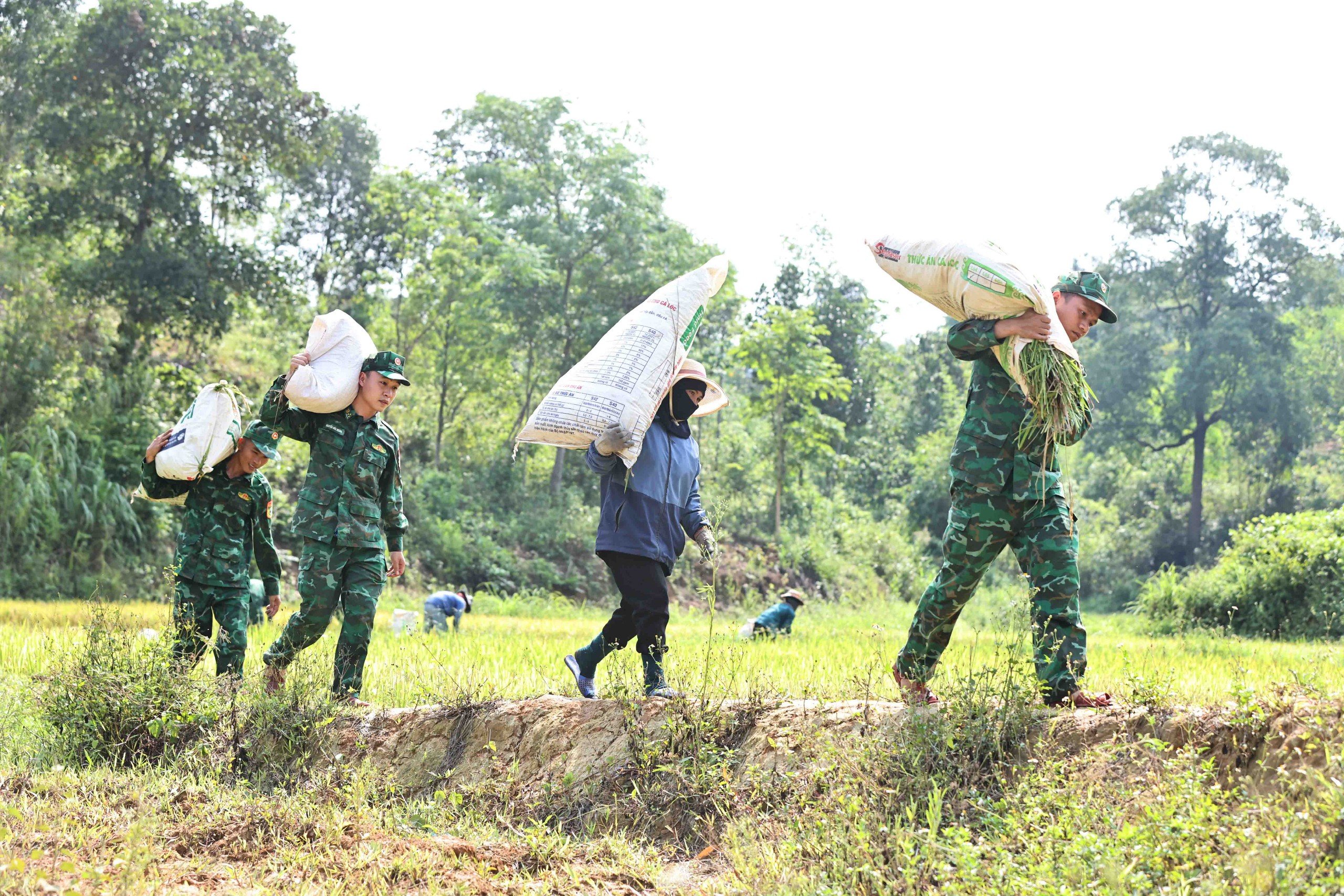 Những năm qua, cây lúa là cây lương thực chủ yếu của đồng bào Vân Kiều nơi đây. Với việc trồng giống lúa mới, thâm canh và áp dụng khoa học kỹ thuật, năng suất lúa được cải thiện rõ rệt, người dân từng bước tự chủ được lương thực