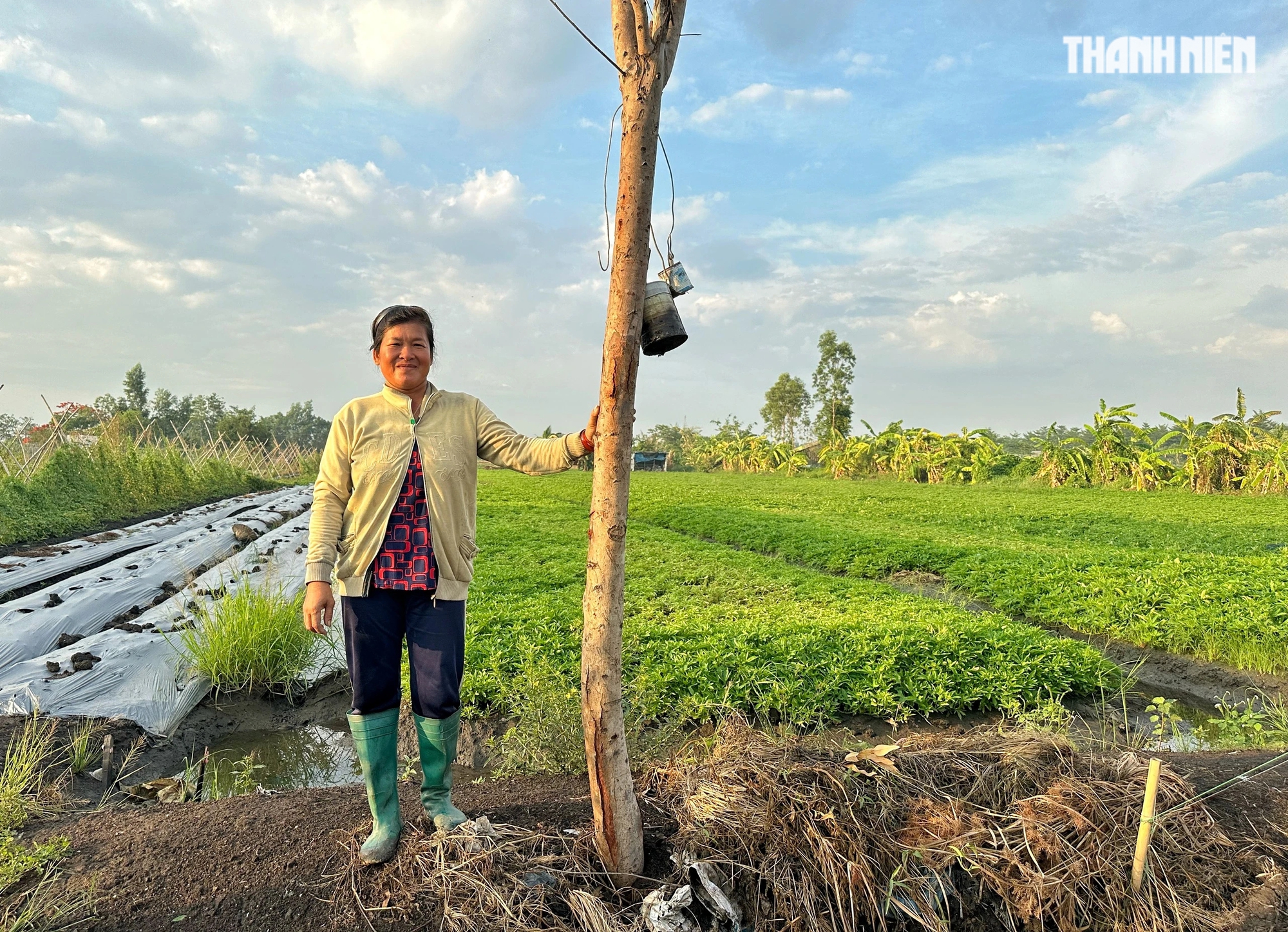 Bà Hương (49 tuổi), là chủ nhân của cây phượng cho biết bà trồng nó sau 1 năm chuyển về đây sống. 