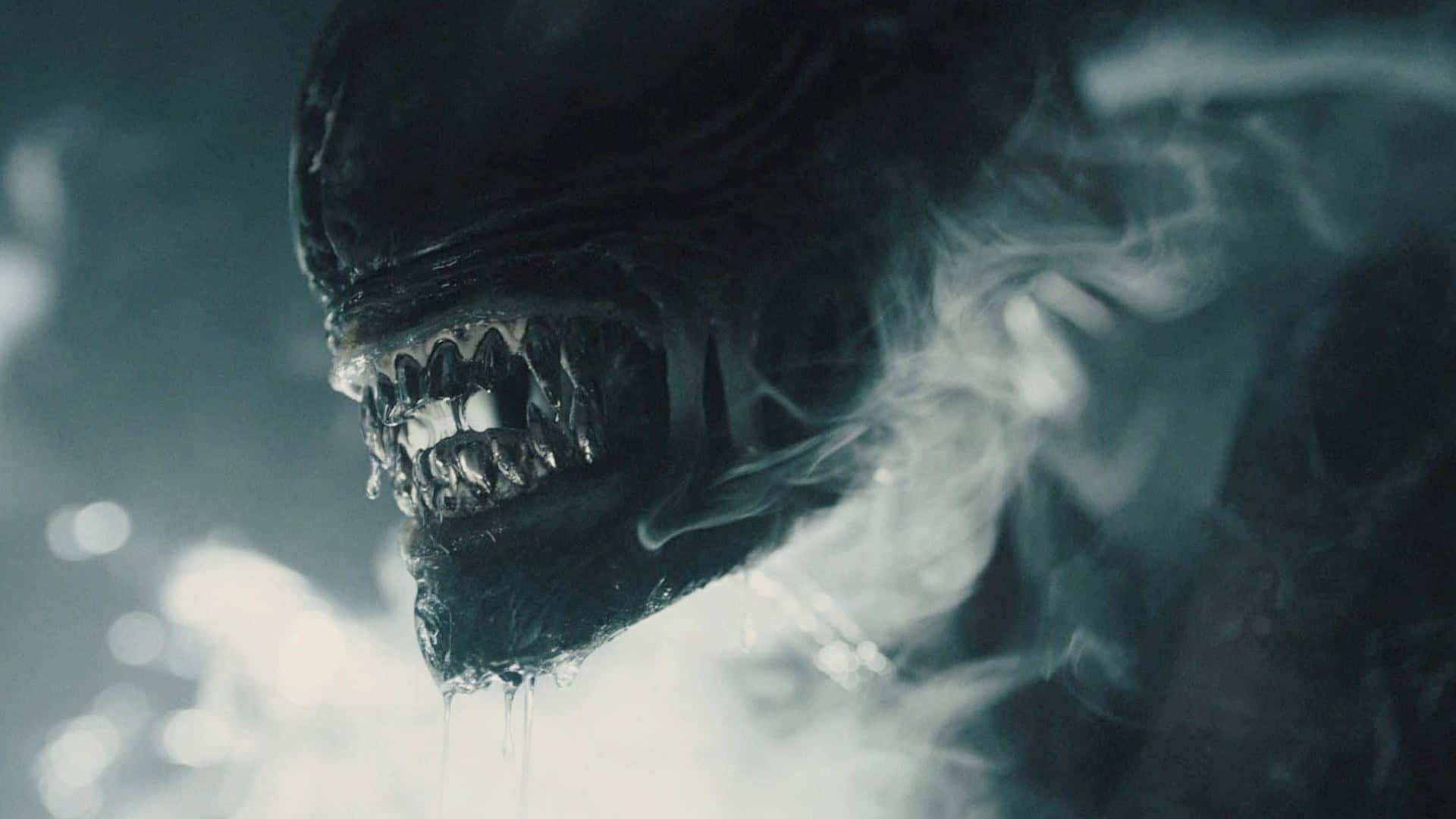 'Alien: Romulus' có những chi tiết quan trọng nào hấp dẫn khán giả?