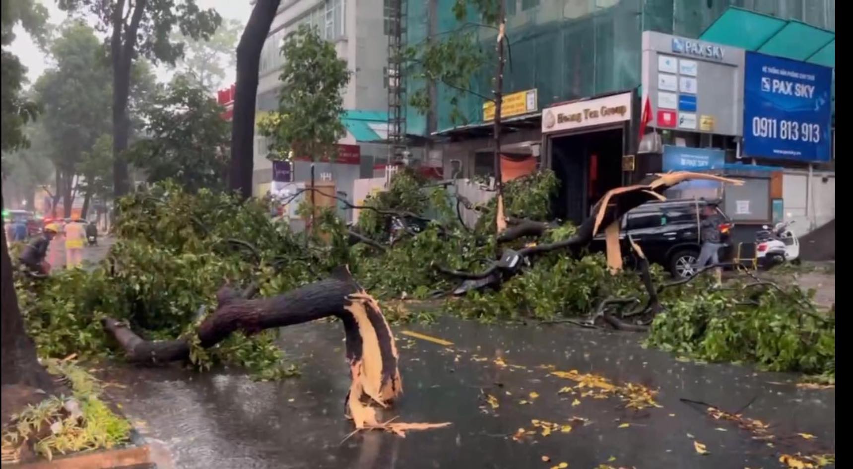 TP.HCM sau trận mưa đá: Hàng loạt cây xanh ngã đổ- Ảnh 3.