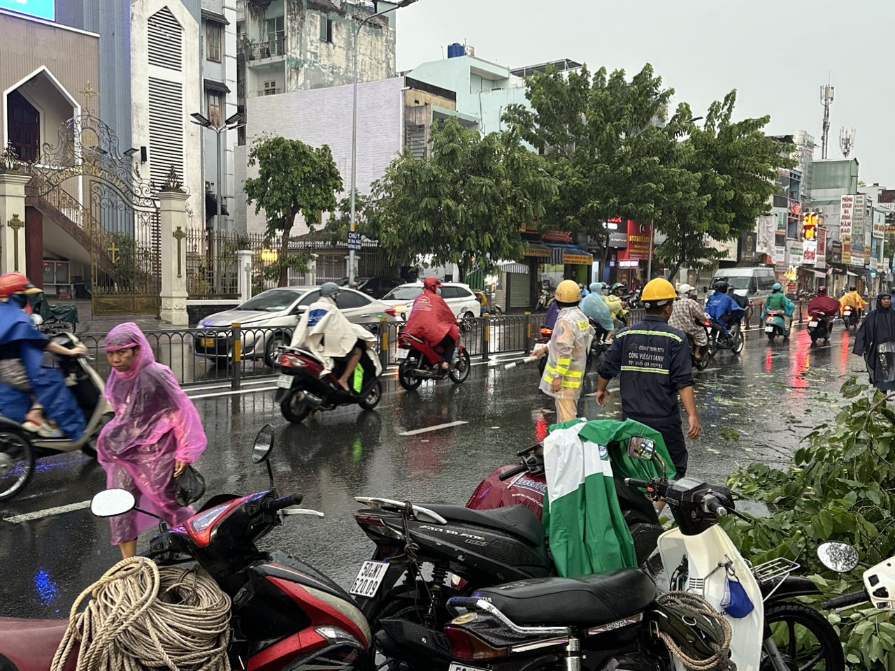 TP.HCM sau trận mưa đá: Hàng loạt cây xanh ngã đổ- Ảnh 2.