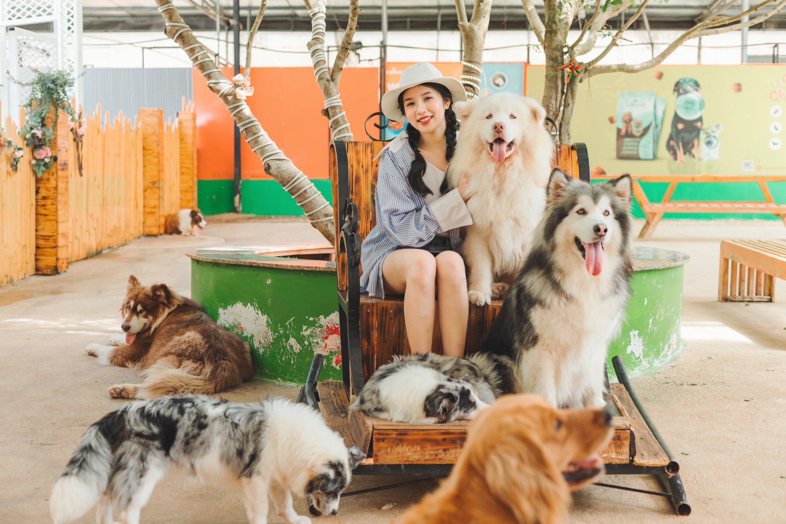 Hè 2024 Puppy Farm Đà Lạt có gì hấp dẫn?