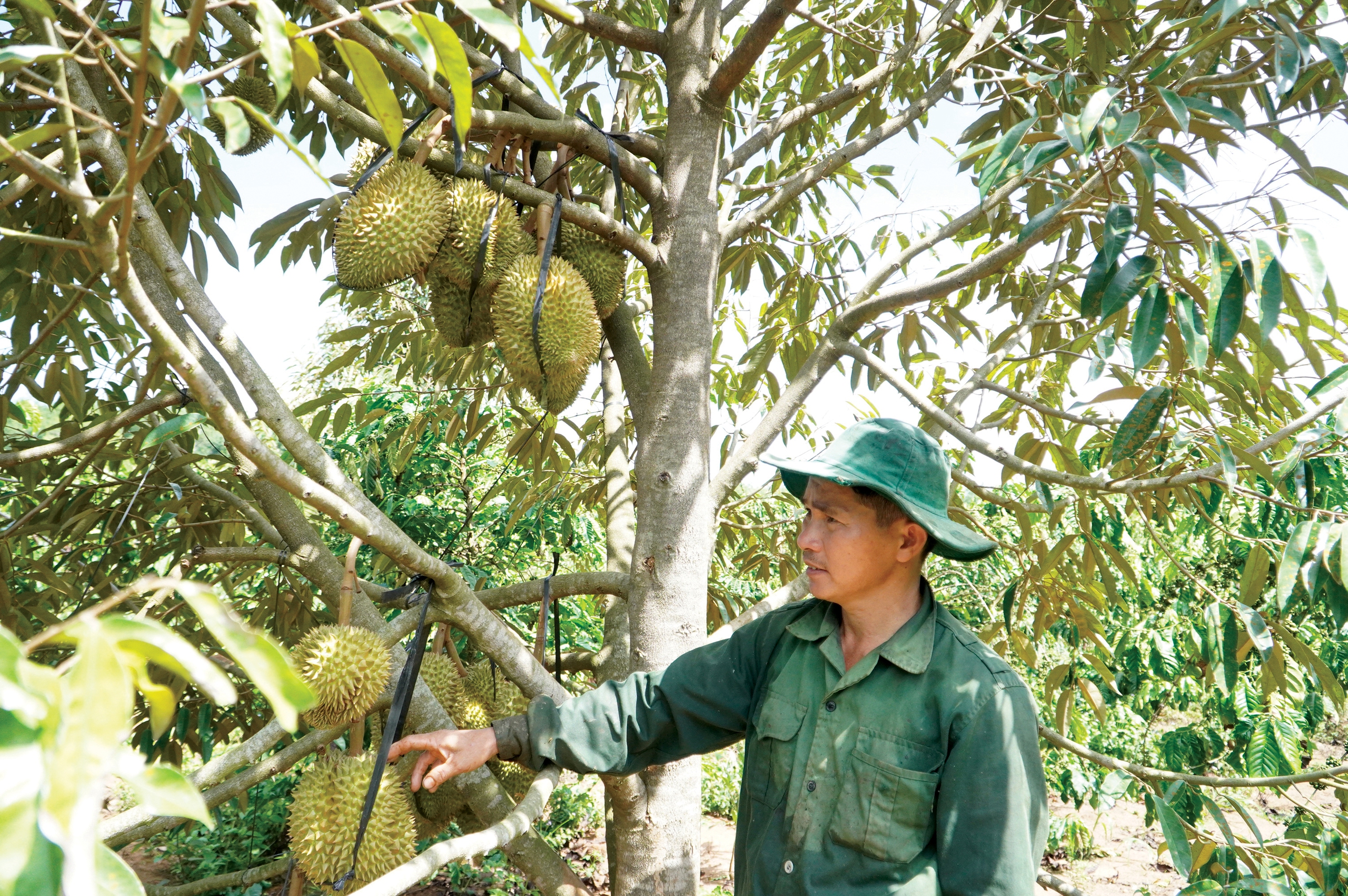 Điểm sáng xây dựng nông thôn mới ở Kon Rẫy- Ảnh 1.