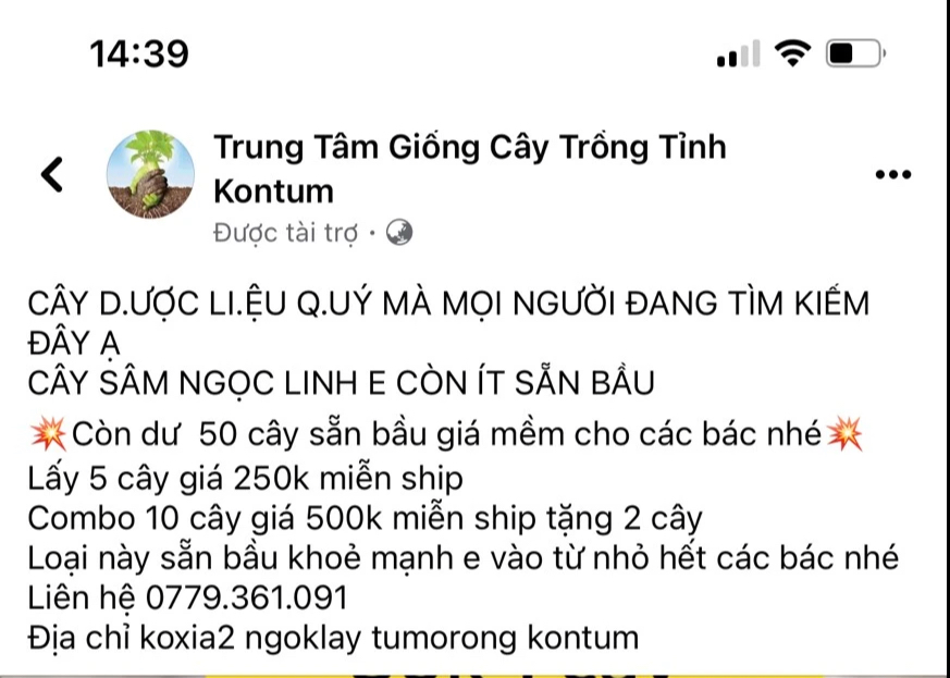 Bị khởi tố vì lấy sâm Trung Quốc giả sâm Ngọc Linh rao bán- Ảnh 1.