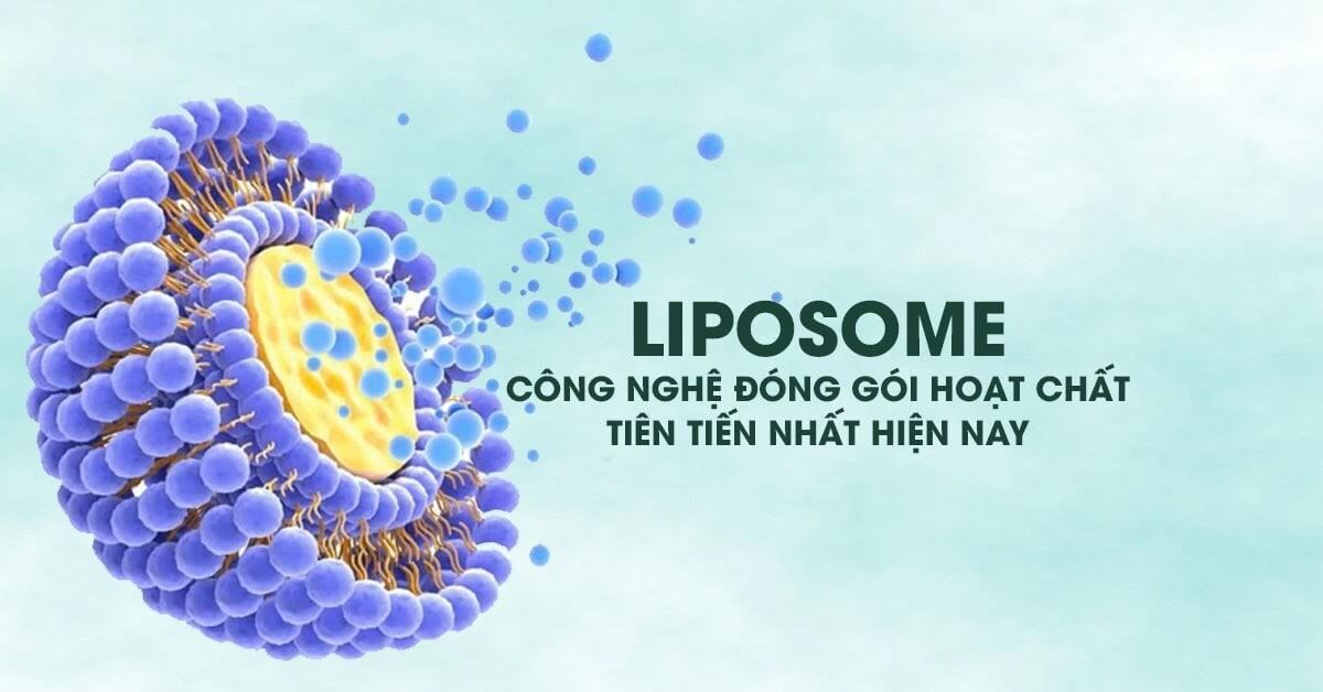 Liposome là gì và những điều có thể bạn chưa biết