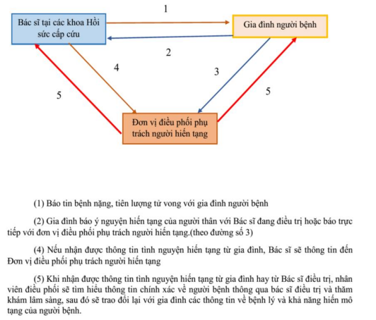 Đăng ký hiến tạng, thủ tục thế nào?- Ảnh 1.