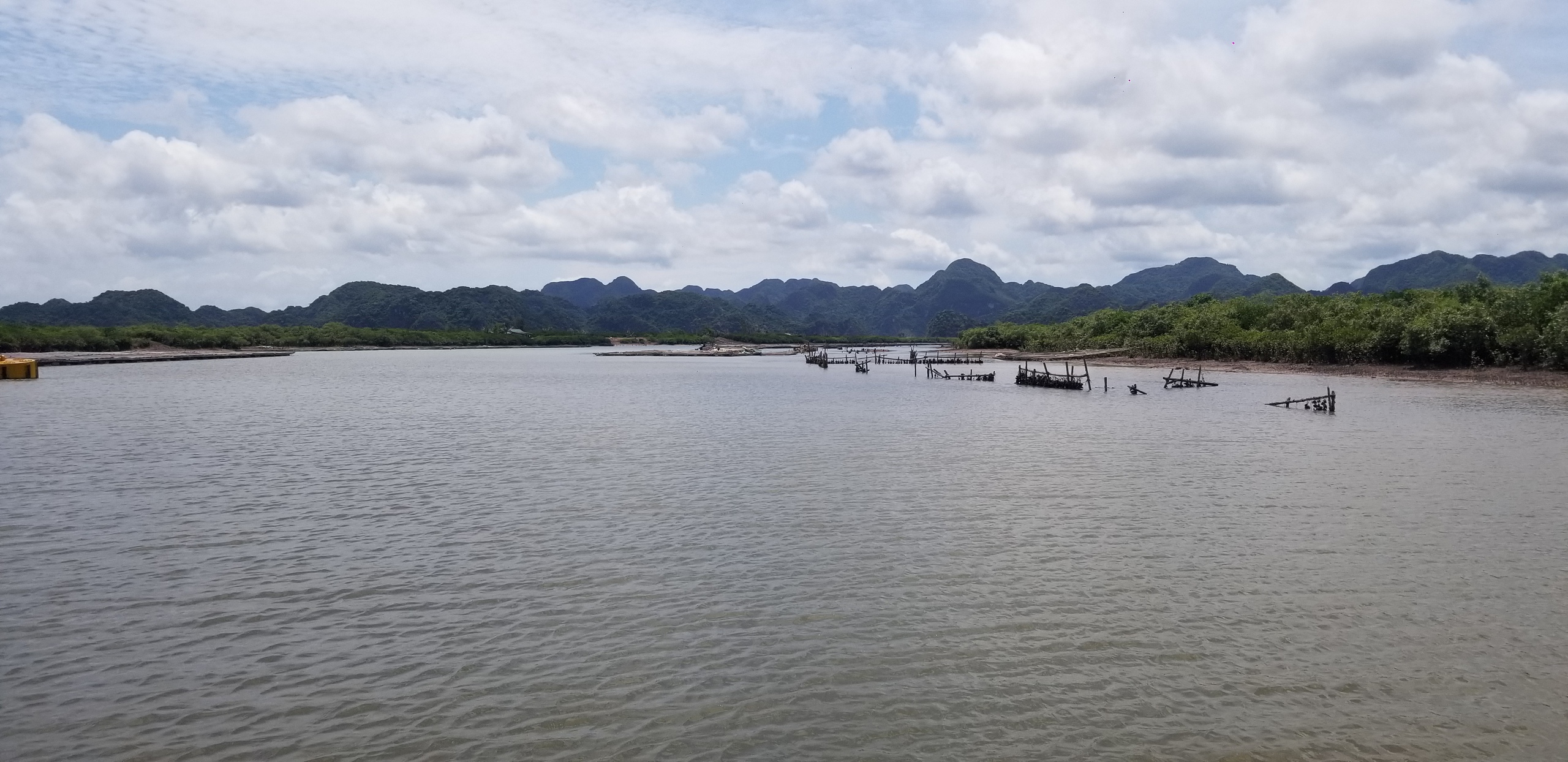 Khám phá hang động kỳ thú nằm giữa rừng ngập mặn biển Cát Bà- Ảnh 7. Khám phá hang động kỳ thú nằm giữa rừng ngập mặn biển Cát Bà- Ảnh 7.