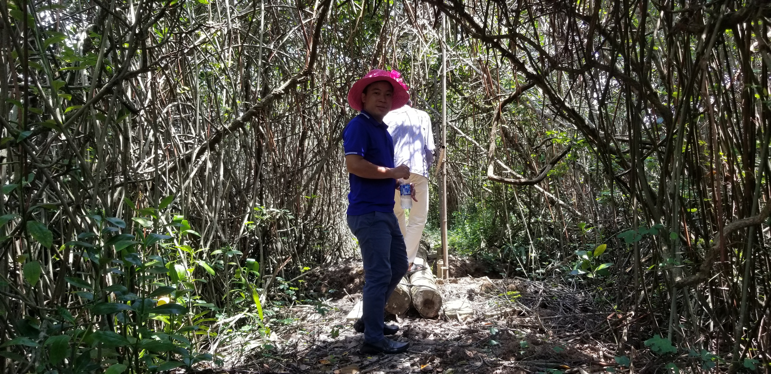 Khám phá hang động kỳ thú nằm giữa rừng ngập mặn biển Cát Bà- Ảnh 8. Khám phá hang động kỳ thú nằm giữa rừng ngập mặn biển Cát Bà- Ảnh 8.