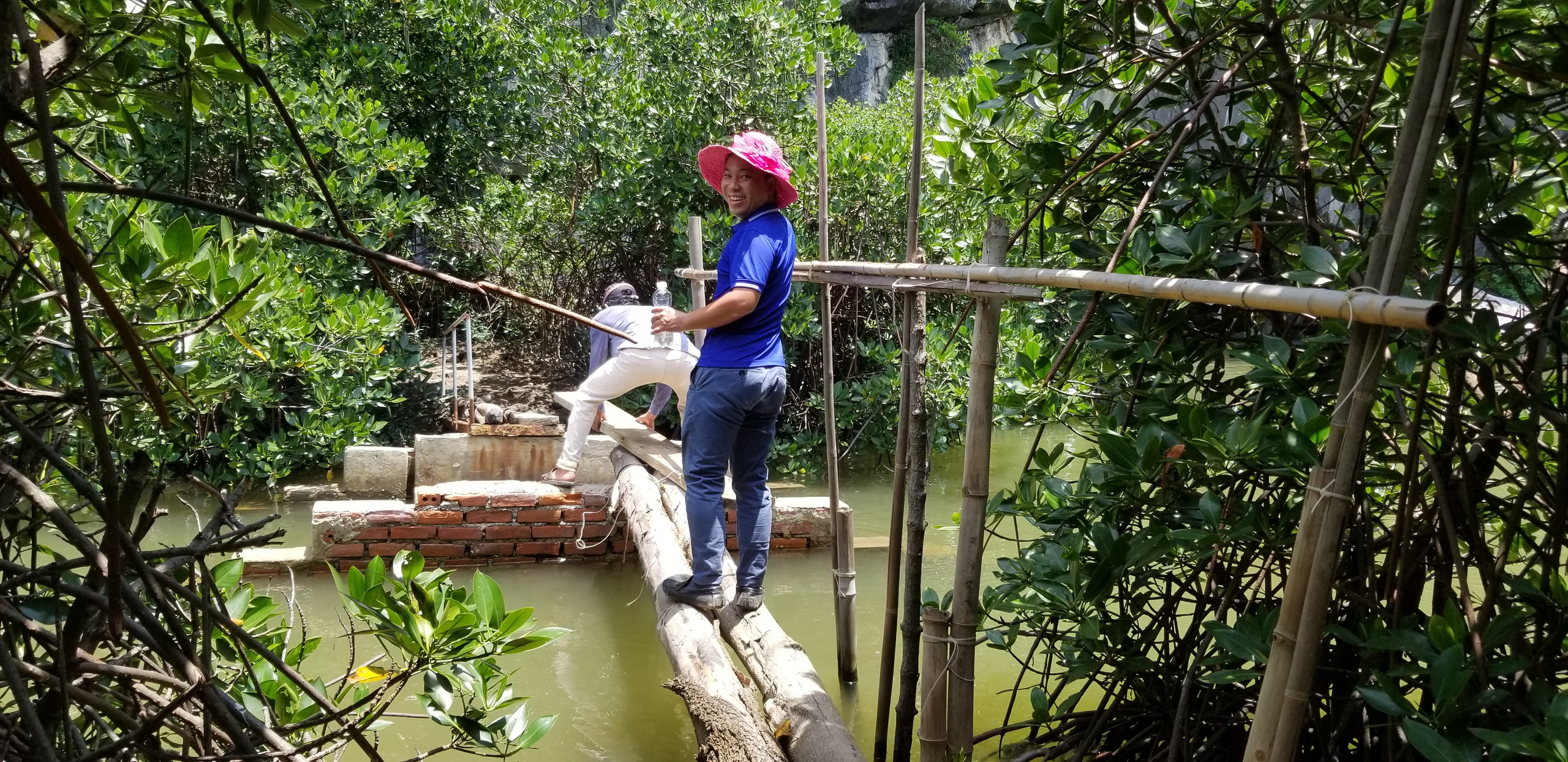 Khám phá hang động kỳ thú nằm giữa rừng ngập mặn biển Cát Bà- Ảnh 9. Khám phá hang động kỳ thú nằm giữa rừng ngập mặn biển Cát Bà- Ảnh 9.