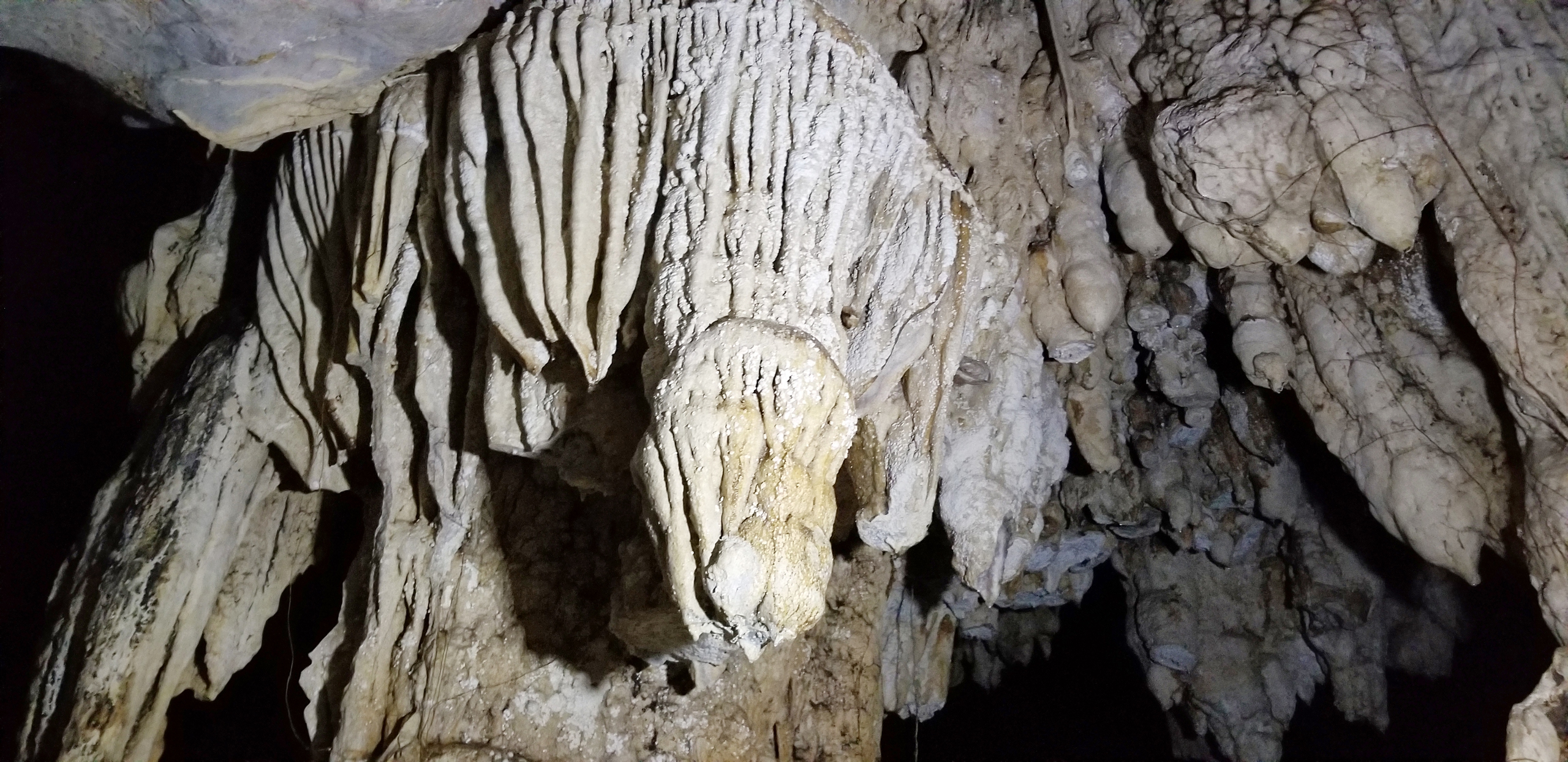 Khám phá hang động kỳ thú nằm giữa rừng ngập mặn biển Cát Bà- Ảnh 6. Khám phá hang động kỳ thú nằm giữa rừng ngập mặn biển Cát Bà- Ảnh 6.