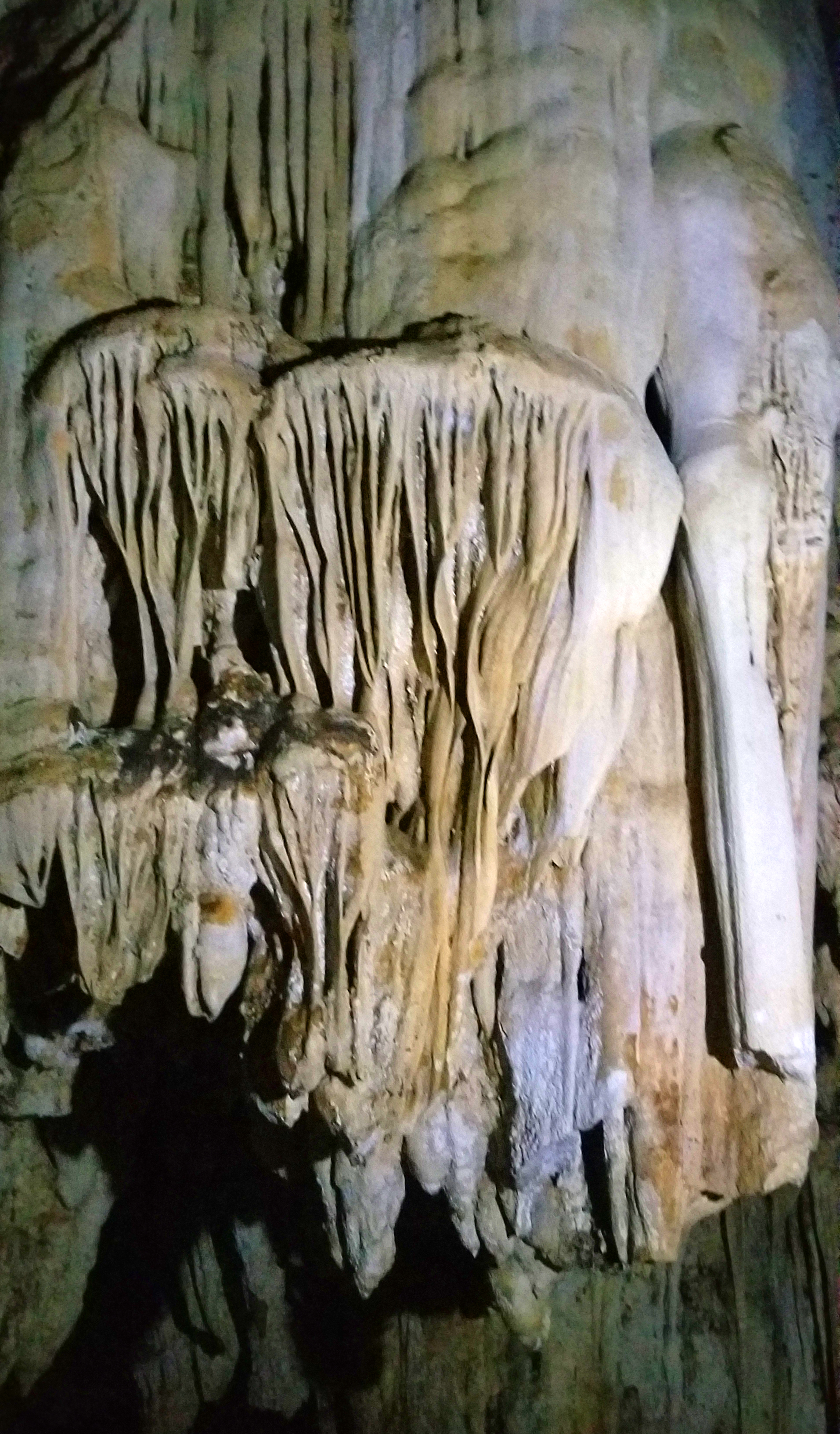 Khám phá hang động kỳ thú nằm giữa rừng ngập mặn biển Cát Bà- Ảnh 10. Khám phá hang động kỳ thú nằm giữa rừng ngập mặn biển Cát Bà- Ảnh 10.