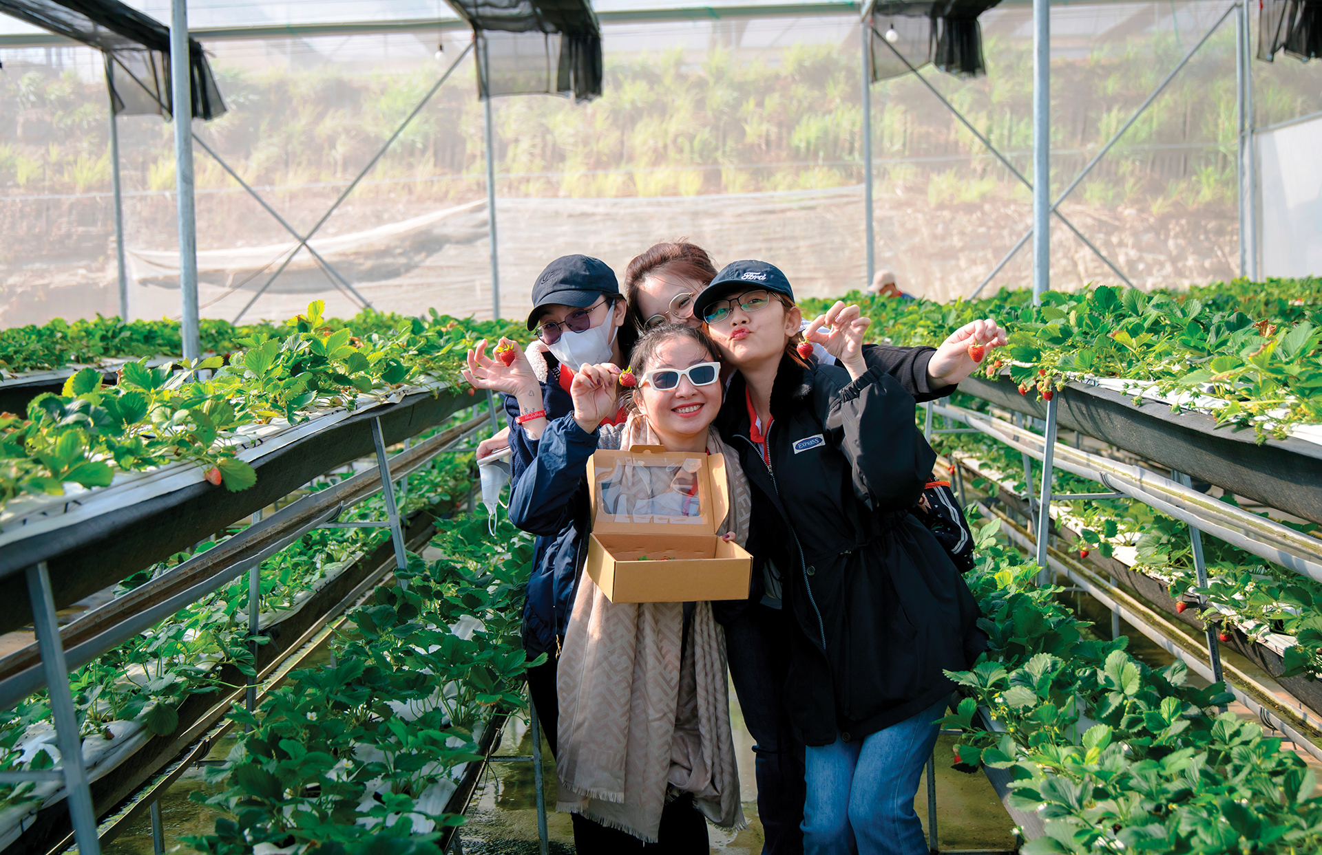 Samten Hills Dalat - Điểm đến đa trải nghiệm dành cho gia đình- Ảnh 4.