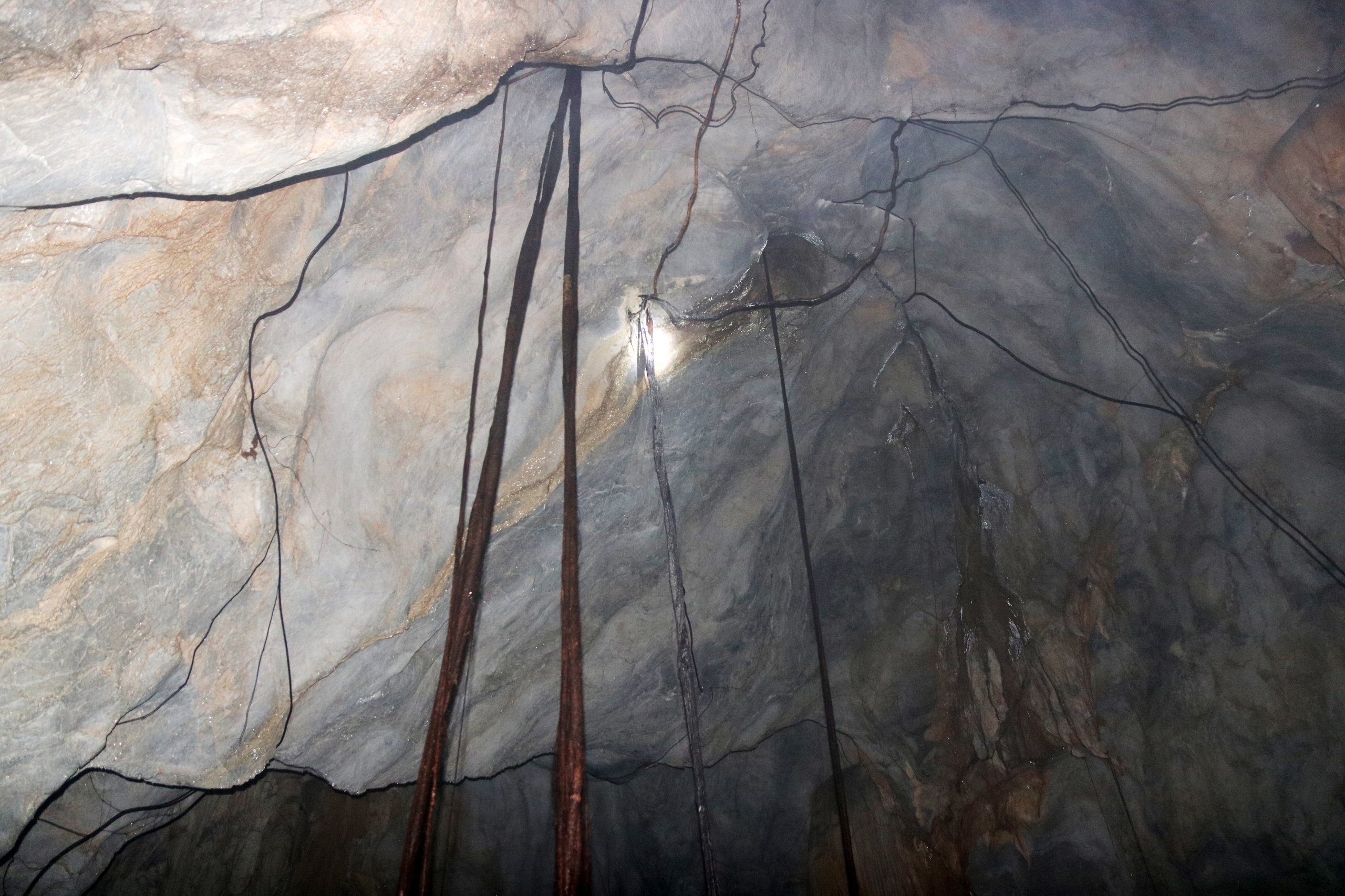 Khám phá hang động kỳ thú nằm giữa rừng ngập mặn biển Cát Bà- Ảnh 11. Khám phá hang động kỳ thú nằm giữa rừng ngập mặn biển Cát Bà- Ảnh 11.