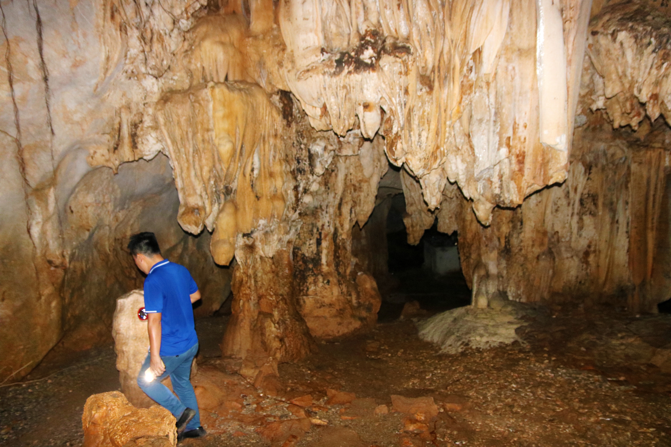 Khám phá hang động kỳ thú nằm giữa rừng ngập mặn biển Cát Bà- Ảnh 12. Khám phá hang động kỳ thú nằm giữa rừng ngập mặn biển Cát Bà- Ảnh 12.