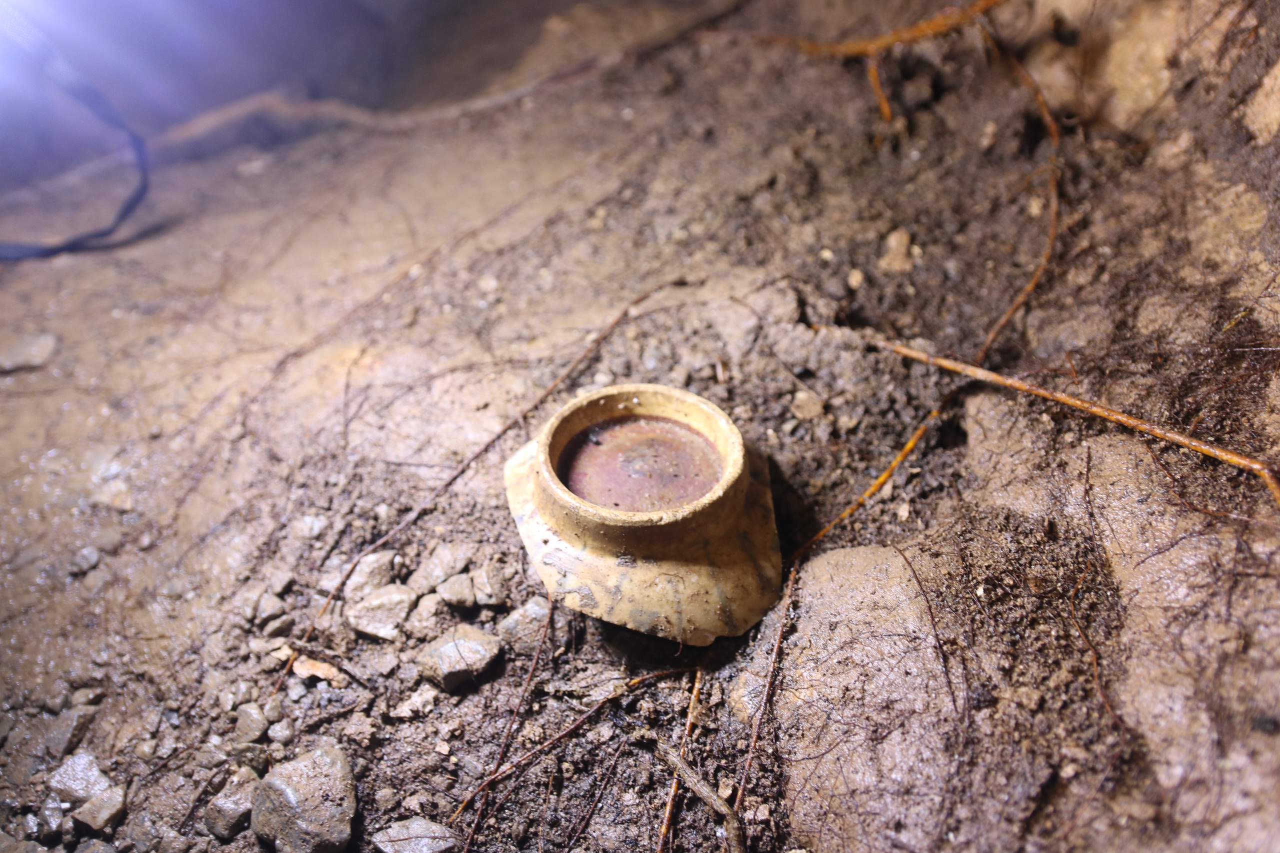 Khám phá hang động kỳ thú nằm giữa rừng ngập mặn biển Cát Bà- Ảnh 14. Khám phá hang động kỳ thú nằm giữa rừng ngập mặn biển Cát Bà- Ảnh 14.