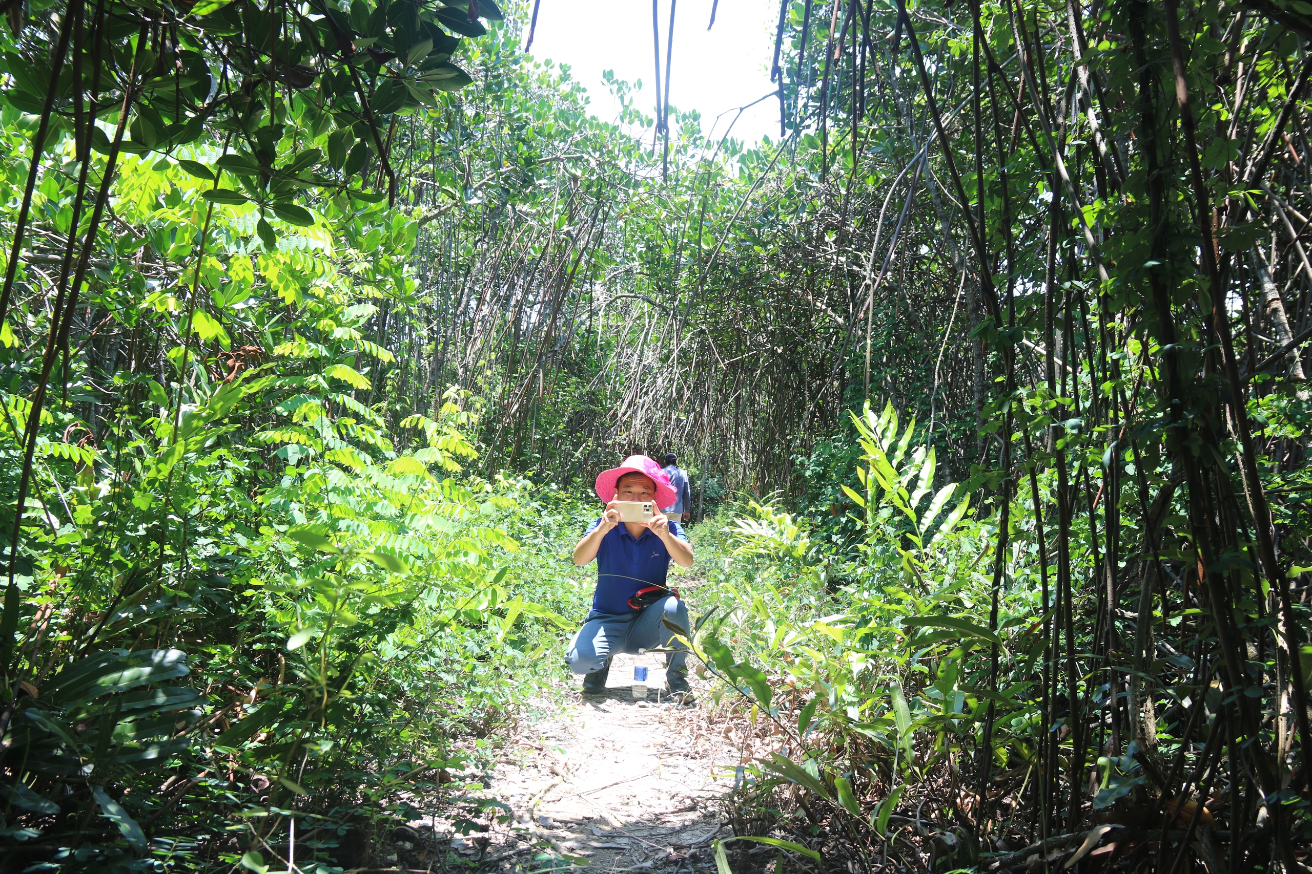 Khám phá hang động kỳ thú nằm giữa rừng ngập mặn biển Cát Bà- Ảnh 15. Khám phá hang động kỳ thú nằm giữa rừng ngập mặn biển Cát Bà- Ảnh 15.