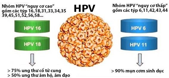 Đừng mắc ung thư cổ tử cung chỉ vì quan niệm sai lầm về phòng ngừa HPV- Ảnh 1.
