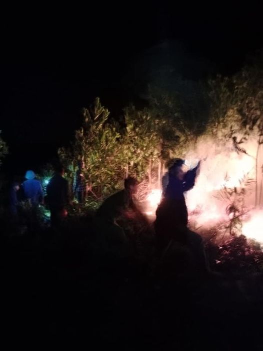Hàng trăm người nỗ lực dập tắt vụ cháy rừng trong đêm- Ảnh 2.