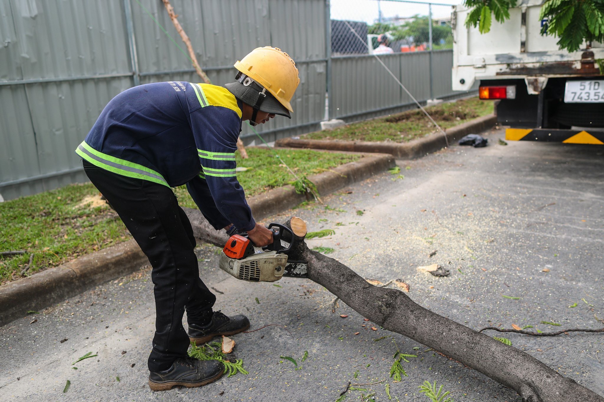 TP.HCM: Đốn hạ, di dời 236 cây xanh để mở rộng đại lộ Võ Văn Kiệt- Ảnh 3.