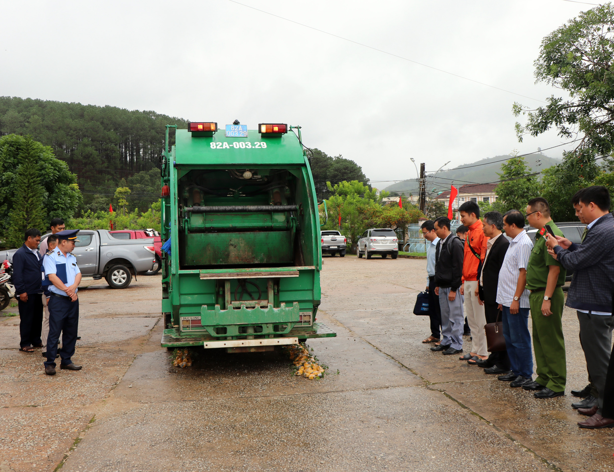 Tiêu hủy sâm Ngọc Linh giả- Ảnh 2.