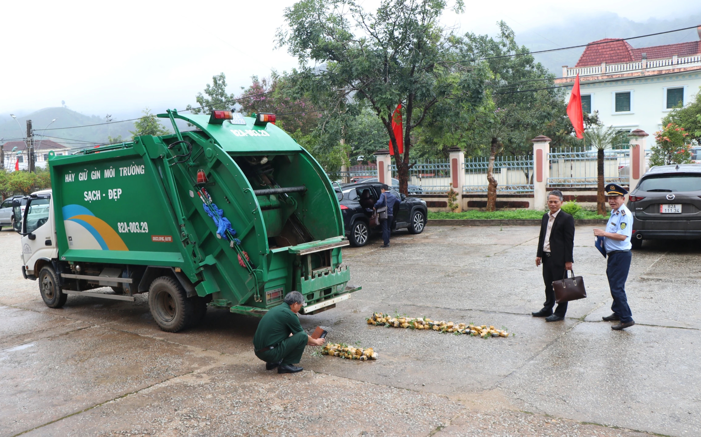 Tiêu hủy sâm Ngọc Linh giả- Ảnh 1.