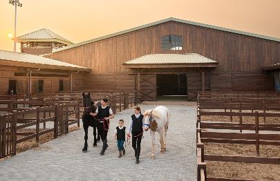 Du khách hào hứng khám phá bộ môn mã thuật tại Vinpearl Horse Academy Vũ Yên- Ảnh 2.