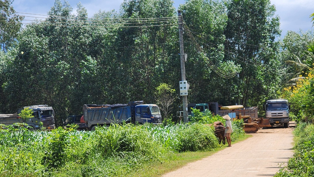 Quảng Ngãi: Xe tải chở đất cày nát đường quê, người dân ngao ngán- Ảnh 3.