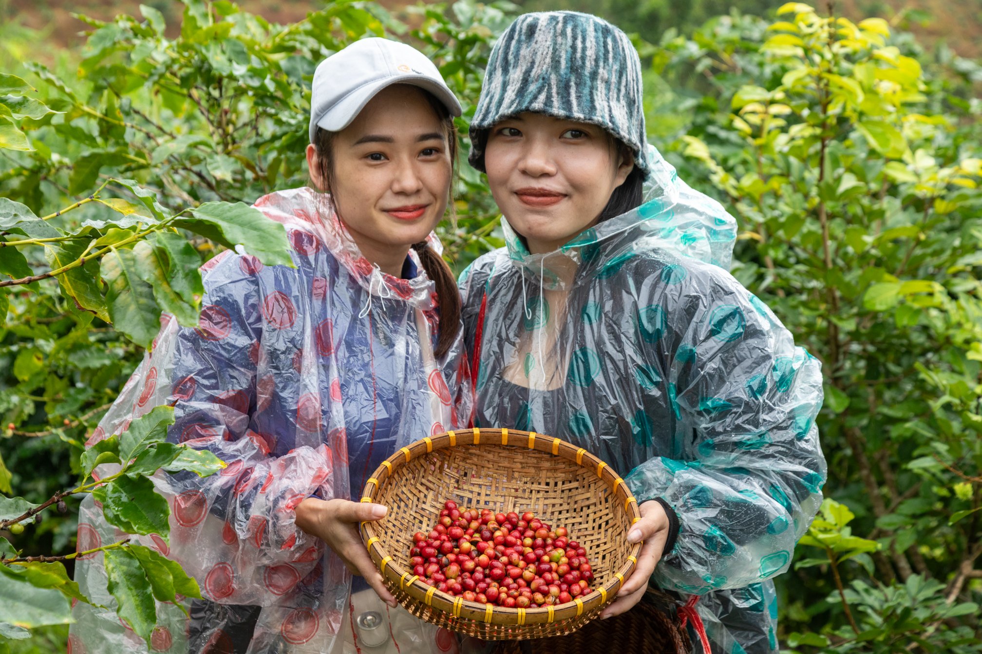 Tới Khe Sanh uống cà phê, tour du lịch kết nối hiện tại - quá khứ- Ảnh 4.