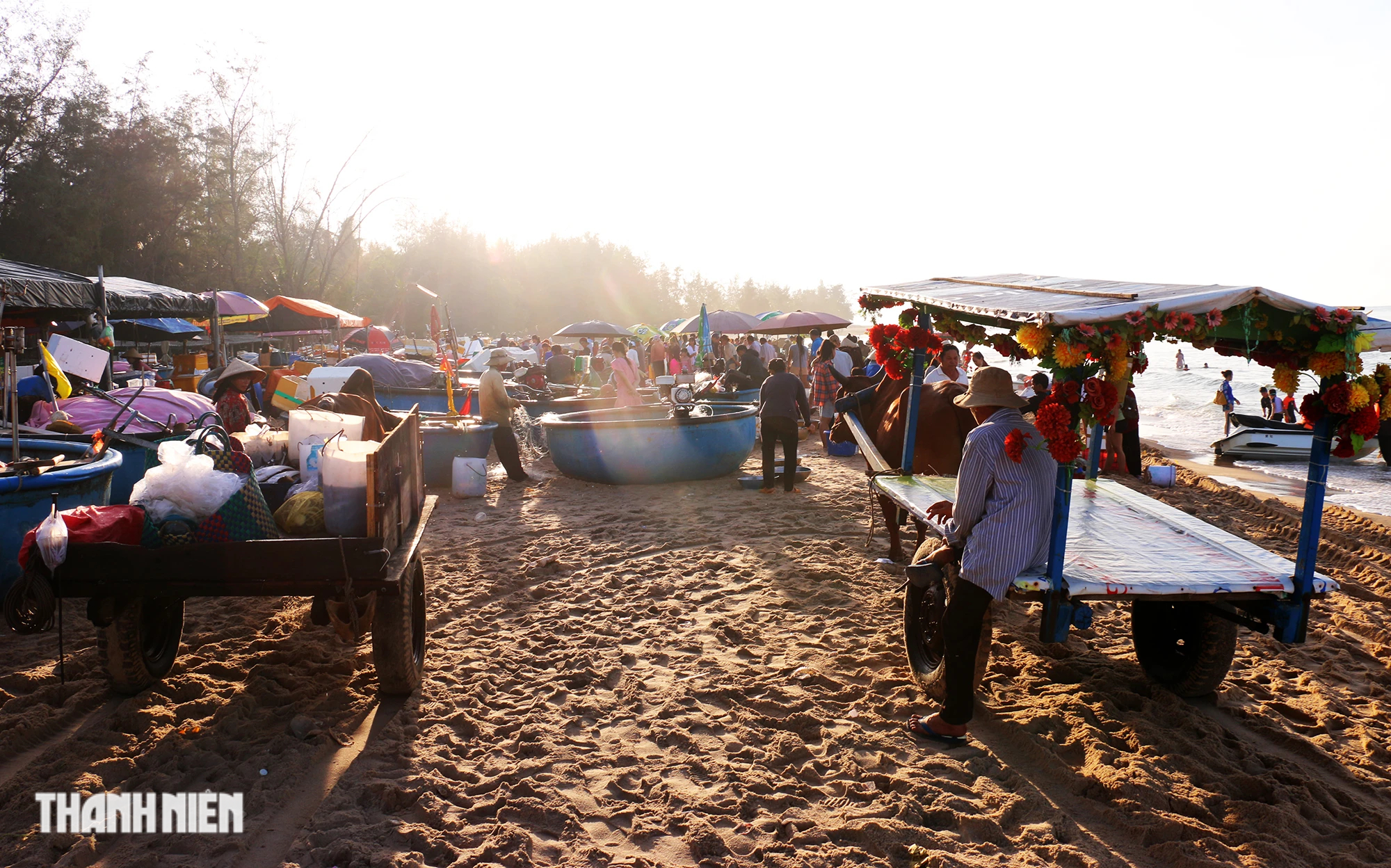 Lên xe bò khám phá chợ cá bên biển La Gi- Ảnh 11.