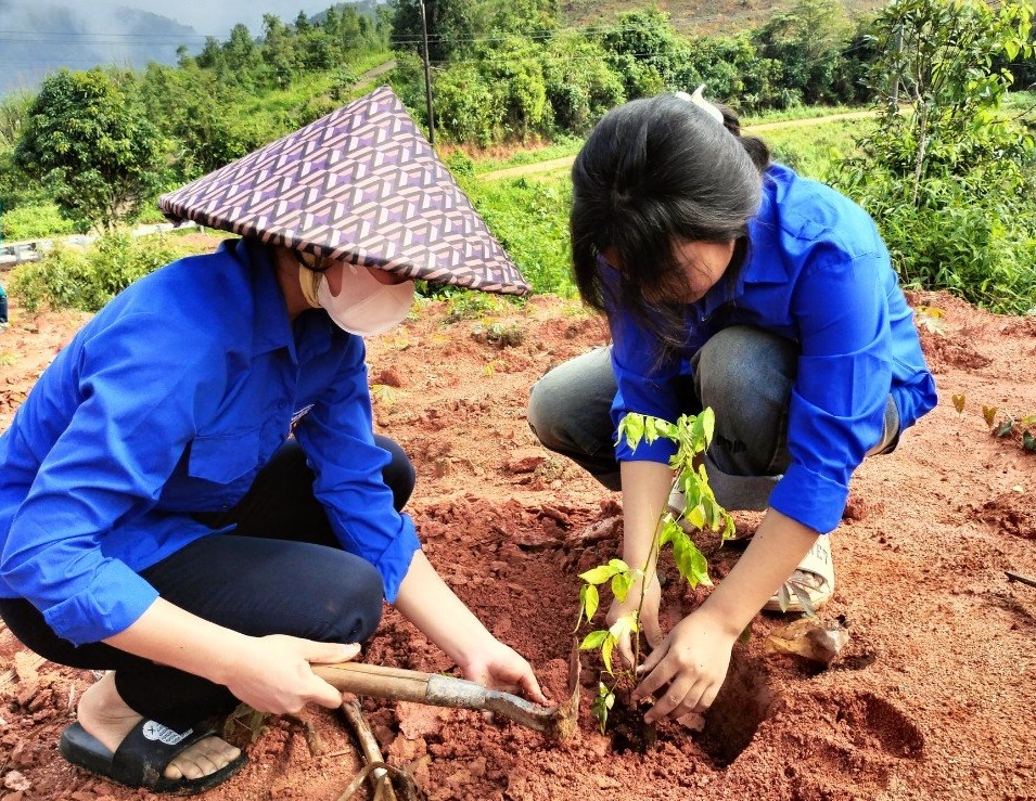 Trồng hơn 100.000 cây xanh tại Kon Tum- Ảnh 2.