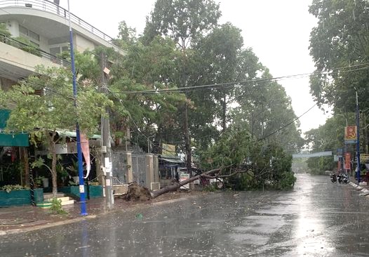 Giông lốc làm tốc mái 70 căn nhà tại An Giang- Ảnh 2.